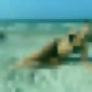 Charmante Adélaïde, 45 ans à Guerting - voir sa photo