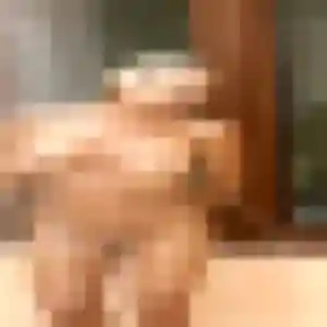 Rejoins Djamilatou, 41 ans à Guipavas en privé