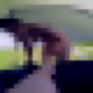 Photo perso de Yaa, 26 ans à Gurmençon - rencontre coquine