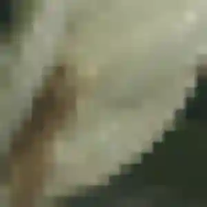 Photo perso de Ketty, 22 ans à Henrichemont - rencontre coquine