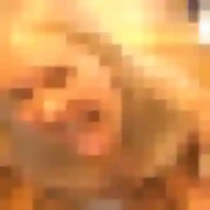 Photo sexy de Thalia, 42 ans à Houchin - rencontre sans lendemain