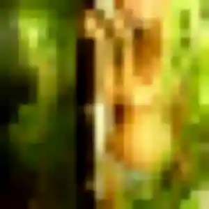 Ursule, 37 ans, dispo pour plan cul à Huningue