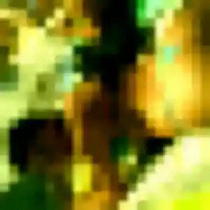 Photo de Afia à Huttenheim (42 ans) - plan cul gratuit