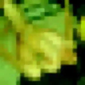 Mercy, 23 ans, dispo pour plan cul à Illiers-l'Évêque