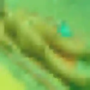 Sexy Thérèse, 42 ans à Isques - voir sa photo