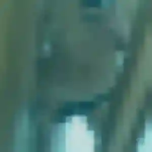 Photo privée de Hadija, 38 ans à Issoire - rencontre coquine