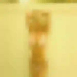 Photo sexy de Hope, 37 ans à Izier - plan discret