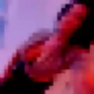 Photo de Selbé à Jatxou (43 ans) - plan cul anonyme