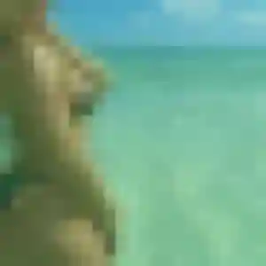 Profil de Malaika à Jayat (32 ans) - plan cul gratuit