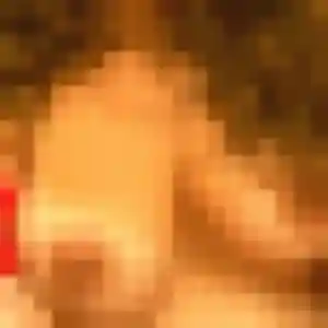 Photo perso de Aida, 32 ans à Joué-l'Abbé - rencontre sans lendemain