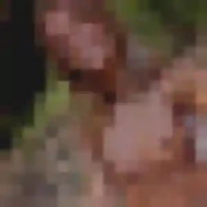 Photo sexy de Arame, 45 ans à Joué-sur-Erdre - plan discret