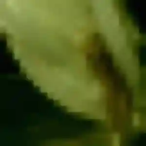 Photo sexy de Njeri, 38 ans à Jouy - rencontre coquine