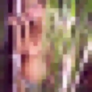 Photo de Ursule à Juillac (40 ans) - plan cul gratuit