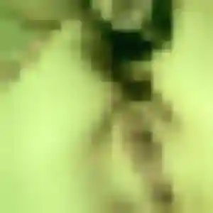 Isatou (37 ans) à Juilley attend une rencontre ce soir