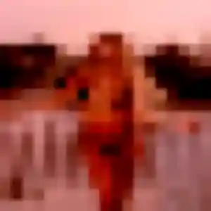 Profil de Justine à Kerfot (43 ans) - plan cul gratuit