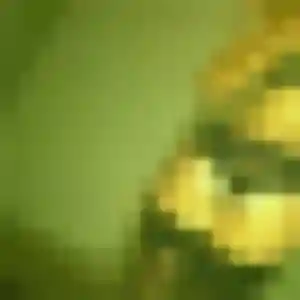 Victoire, 35 ans, connectée à Kindwiller pour une rencontre coquine