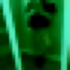 Photo privée de Adjoavi, 37 ans à Koungou - rencontre coquine