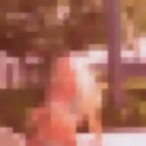 Photo de Lilou à L'Albenc (36 ans) - plan cul anonyme