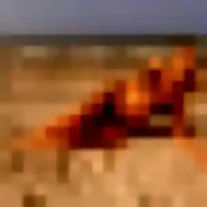 Photo de Upendo à La Baule-Escoublac (29 ans) - plan cul anonyme