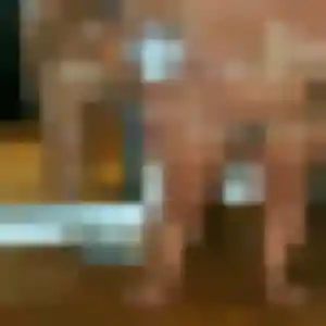 Aïcha, fille de 27 ans cherche plan cul à La Chapelle-Blanche