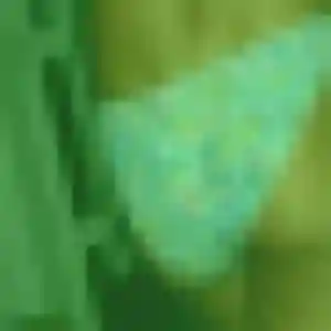 Photo de Esther à La Chapelle-Thouarault (34 ans) - plan cul gratuit