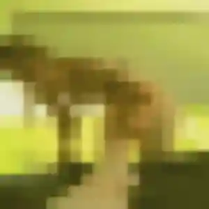 Photo de Yaa à La Chapelle-Thouarault (42 ans) - plan cul gratuit