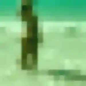 Omotola, 42 ans, veut un plan cul à La Chapelle-Vendômoise
