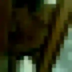 Photo exclusive de Isatou, 28 ans à La Chevrolière - rencontre coquine