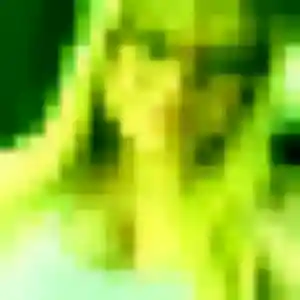 Profil de Patricia à La Devise (26 ans) - plan cul anonyme