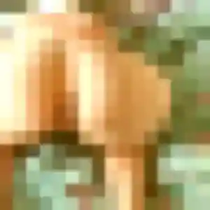 Photo exclusive de Exaucée, 38 ans à La Ferté Macé - rencontre coquine