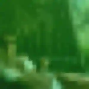 Yasmina, 22 ans, connectée à La Gouesnière pour une rencontre coquine
