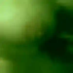 Suzanne, 42 ans, en ligne à La Guérinière pour une rencontre coquine