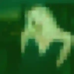 Blessing, femme de 40 ans cherche plan cul à La Guiche