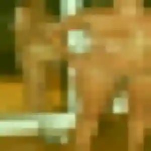 Photo exclusive de Rébecca, 23 ans à La Môle - rencontre coquine