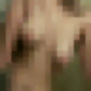 Adeline, 32 ans, en ligne à La Murette pour un plan cul