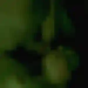 Assétou, 28 ans, disponible à La Réole pour une rencontre coquine