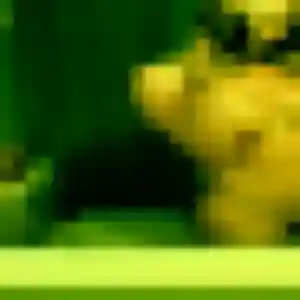 plan cul à Labastide-Saint-Sernin : profil de Bukola, 41 ans - sans engagement