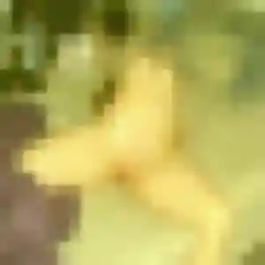 Sexy Zuri, 44 ans à Lacs - voir sa photo