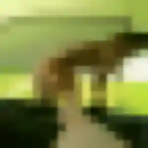 Découvre Amani, 45 ans à Lafitte-sur-Lot en privé