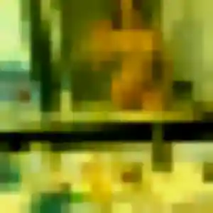 Rejoins Audrey, 44 ans à Lafitte-sur-Lot gratuitement