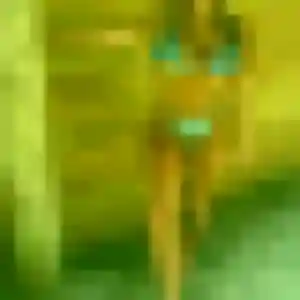 Charmante Sonia, 43 ans à Lamanon - la contacter