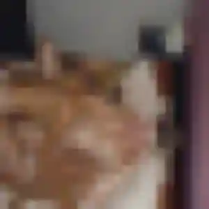 Profil de Latifa à Lambres (25 ans) - plan cul discret
