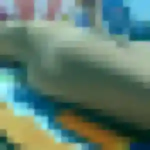 Photo exclusive de Sira, 44 ans à Lamorlaye - plan discret