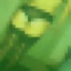 Profil de Brigitte à Landudec (39 ans) - plan cul anonyme