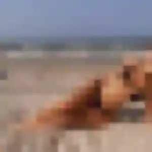 Contacte Louisette, 35 ans à Lanester gratuitement