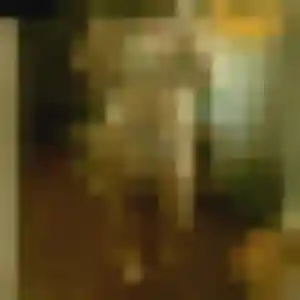 Photo perso de Ornella, 24 ans à Lannemezan - rencontre coquine