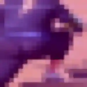 Photo de Adwoa à Lanton (40 ans) - plan cul gratuit