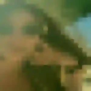 Profil de Nafi à Laruscade (42 ans) - plan cul gratuit