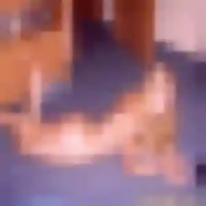 Contacte Prisca, 32 ans à Lassy en privé