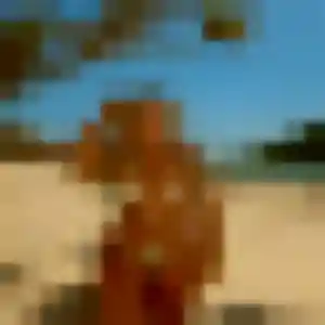 Profil de Sandy à Lathus-Saint-Rémy (34 ans) - plan cul gratuit